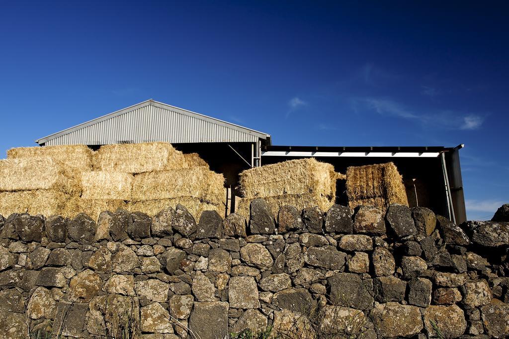 Lakes And Craters Holiday Park Camperdown Exterior photo